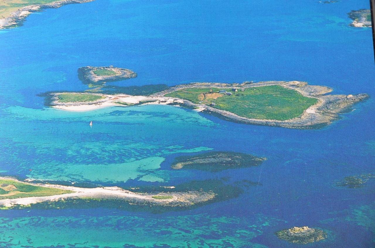 Votre Vue, La Mer, Les Bateaux !!! Wir Sprechen Flieben Deutsch, Touristentipps, We Speak English Concarneau Exterior photo